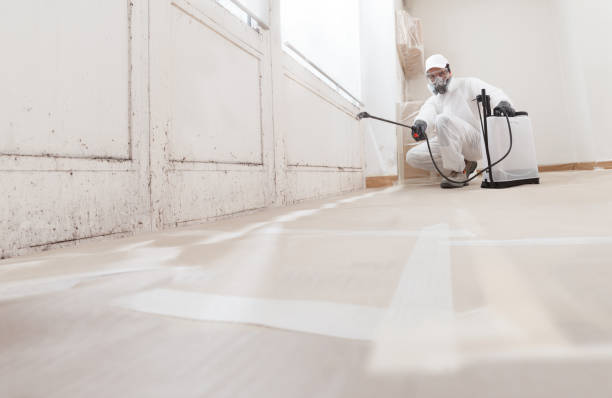 24/7 Emergency Black Mold Remediation experts in Severna Park, MD