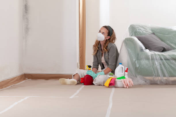 Reliable Black Mold Remediation contractor in Severna Park, MD by Car Mold Remediation